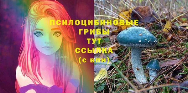 mdpv Вязьма